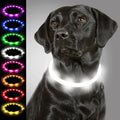 Joytale Light Up Dog Collar, LED Silicone Cut-to-Fit Rainproof, White | Soft Skin-Friendly Won't Chafe, 360° Glow Keeps Dogs Visible at Night, 3 Modes, Rechargeable USB-C, Small Medium Large Dogs by Joytale
