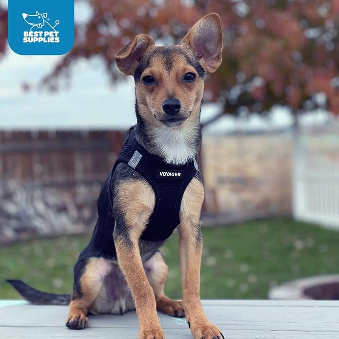 Voyager Step-in Air Dog Vest Harness - Black/Black Trim, X-Large | 20.5 - 23" in Chest, Reflective Bands, All Weather Breathable Air Mesh, Cats Compatible, Lightweight, Fast Drying - Image 12