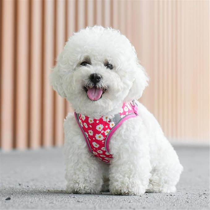 Step in Dog Harness No Pull Flower Adjustable Soft Mesh Harness | Reflective Escapeproof Pet Vest Harness and Leash Set for Small Medium Dogs - Image 7