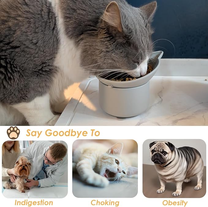 Elevated Cat Bowl, Silicone Kitten Bowls for Food and Water, Wide Shallow Cat Food Dish, Whisker Fatigue, Lead & Cadmium Free, Great Height for Small Pet (LightGrey) - Image 5