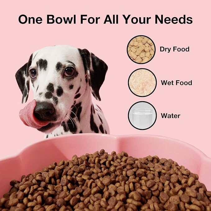 VETRESKA Elevated Dog Bowls Large Breed, 40 oz Ceramic Raised Dog Bowl | Flower-Shaped Food Water Bowl with Bamboo Stand, Feeding Dish Bowls for Medium/Large Dogs and Cats - Image 4