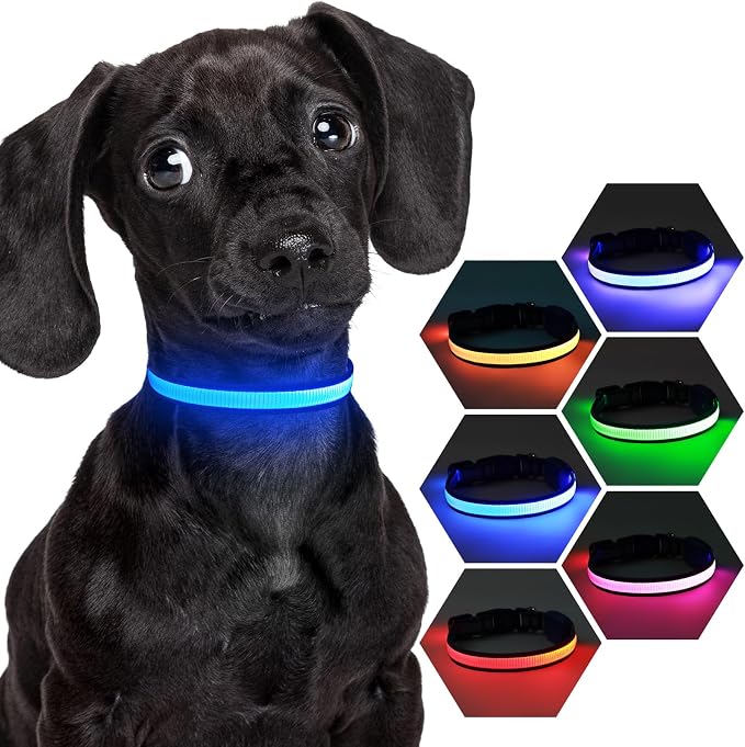 LED Light Up Dog Collar for Night Safety Walks, Blue, S | USB rechargeable, waterproof & pet-safe, 3 lighting modes, long-lasting glow, adjustable S/M/L, soft comfy daily walk fit by Dlitk