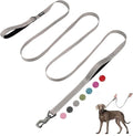 Fida 10 FT Heavy Duty Dog Leash, Dual Padded Handles for Medium Large Dogs | Traffic Handle for Close Control, Advanced Easy Snap Hook, Reflective, Strong Nylon Webbing for Long Walks & Training, Grey by Fida