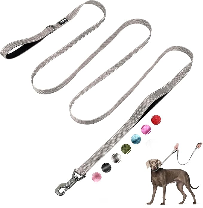 Fida 10 FT Heavy Duty Dog Leash, Dual Padded Handles for Medium Large Dogs | Traffic Handle for Close Control, Advanced Easy Snap Hook, Reflective, Strong Nylon Webbing for Long Walks & Training, Grey by Fida