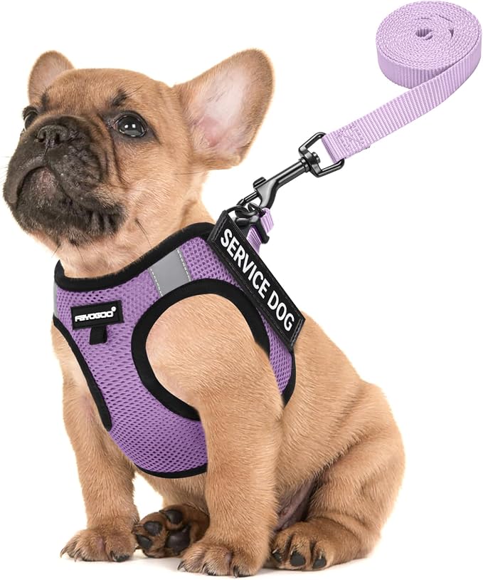 FAYOGOO Service Dog Vest Set for Small Dogs, Mesh Harness and Leash | Lightweight step-in vest with leash and removable identification patches; measure neck and chest before choosing a size by FAYOGOO