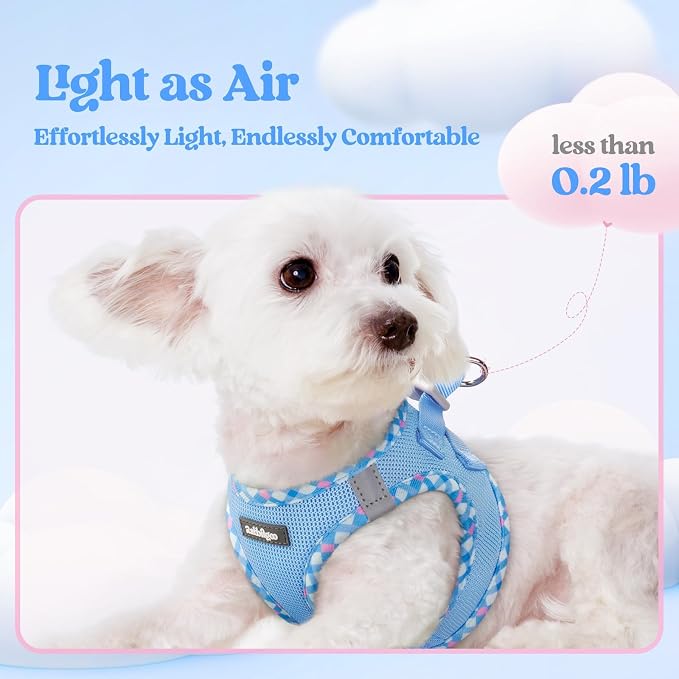 rabbitgoo Dog Harness Small Sized and Leash Set, Step-in Puppy Pet Vest | Light, Soft, Breathable Air Mesh, Easy on and Remove with Hook & Loop, Secure Reflective for Walking, Blue & Plaid Trim XXS - Image 4