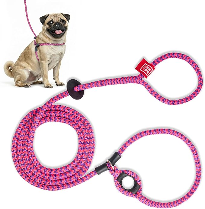 Harness Lead No Pull Dog Harness and Leash Set, Anti Pull Dog Harness, One-Piece Cushioned Rope Safely Prevents Escaping and Pulling (Small/Medium, Pink/Purple) by HarnessLead