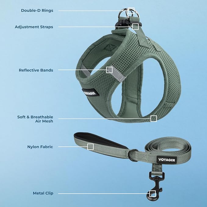 Best Pet Supplies Voyager Step-in Air All Weather Mesh Harness and Reflective Dog 5ft Leash Combo with Neoprene Handle, for Small, Medium and Large Breed Puppies - Moss Green, X-Small - Image 2