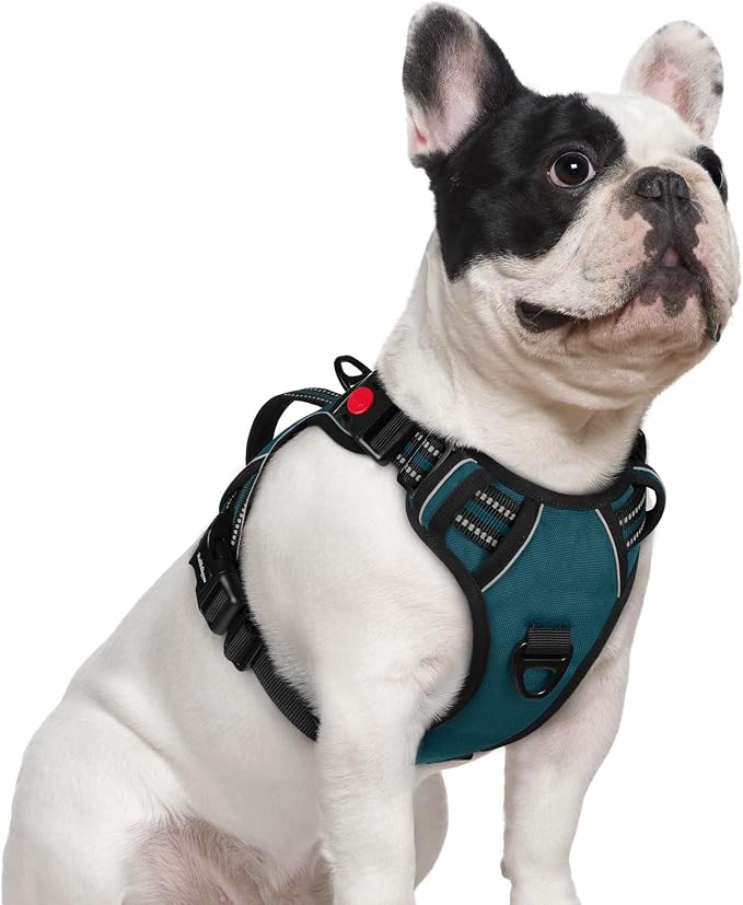rabbitgoo Large Dog Harness, Easy Wear with 3 Buckles and Lift Handle | No Pull with Front Clip for Walking, Adjustable Soft Padded, Reflective, Easy Control, Green, Small by rabbitgoo