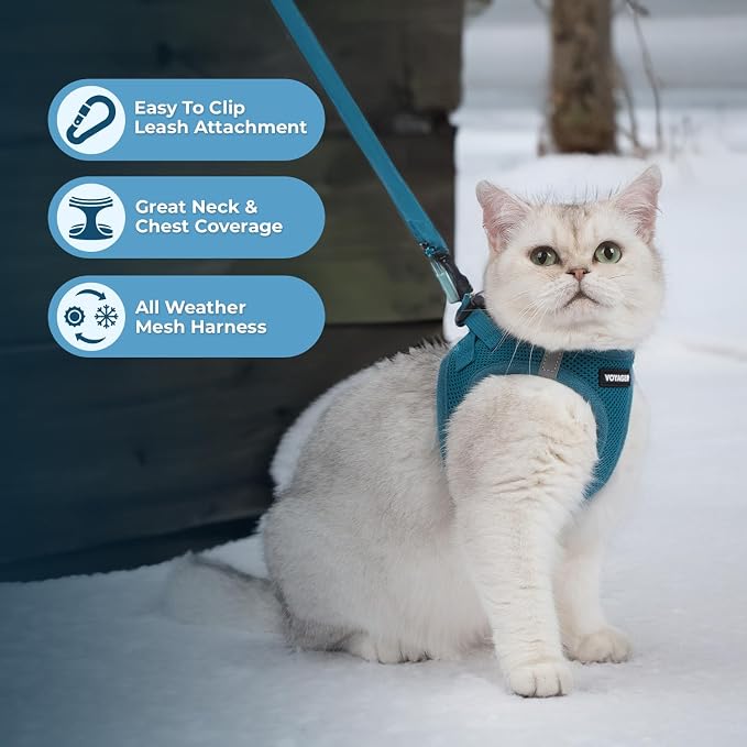 Voyager Step-in Air Cat Harness & Leash Set - Turquoise, S | 14 - 16" in Chest, Reflective Bands, All Weather Breathable Air Mesh, Cats Compatible, Fast Drying - Image 6