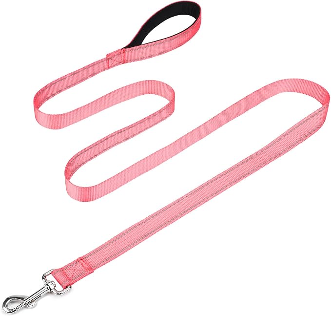 FunTags Reflective Nylon Dog Leash for Medium & Large Dogs, 6FT for Walks | Comfortable Padded Grip, Stay Safe at Night, 360° Anti-Tangle Swivel, for Dog Parks & Trails, Neon Pink by FUNSTARTSHERE