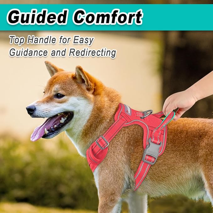 BARKBAY Dog Harness for Medium Sized Dog No Pull Mesh 2 Clips Dog Vest | Control Handle,Comfort,Heavy Duty,Adjustable Reflective,Perfect for Outdoor Training, Walking,Hiking(M,Red Mesh) - Image 4
