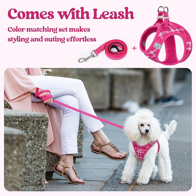 rabbitgoo Dog Harness Small Sized and Leash Set, Step-in Puppy Pet Vest | Light, Soft, Breathable Air Mesh, Easy on and Remove with Hook & Loop, Secure Reflective for Walking, Rose Red Plaid M - Image 7