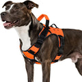 WINGOIN Orange Tactical Dog Harness for Medium Dogs,No Pull Dog Harness | Heavy Duty with Handle,Adjustable Reflective,Military K9 Pet Vest,for Pitbull Female Male,for Walking Training Hiking Hunting by WINGOIN