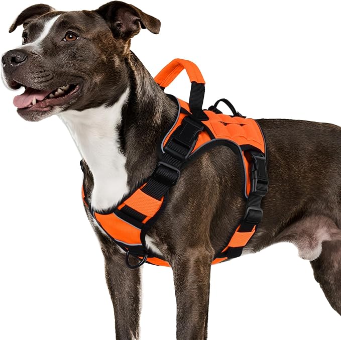 WINGOIN Orange Tactical Dog Harness for Medium Dogs,No Pull Dog Harness | Heavy Duty with Handle,Adjustable Reflective,Military K9 Pet Vest,for Pitbull Female Male,for Walking Training Hiking Hunting by WINGOIN