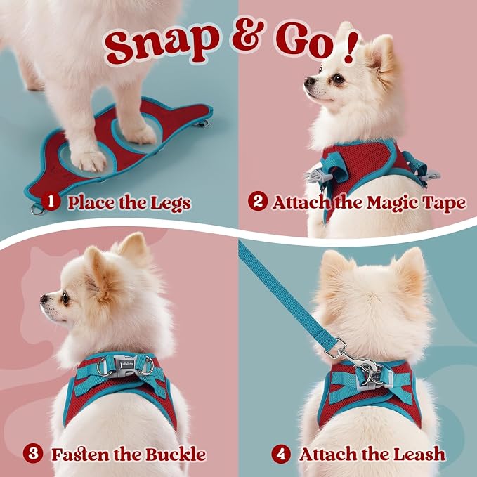 rabbitgoo Dog Harness Small Sized and Leash Set, Step in Soft Vest | Breathable Mesh, Easy Wear with Hook & Loop, Light and Reflective for Walking, Multi-colored, Red & Teal, M - Image 2