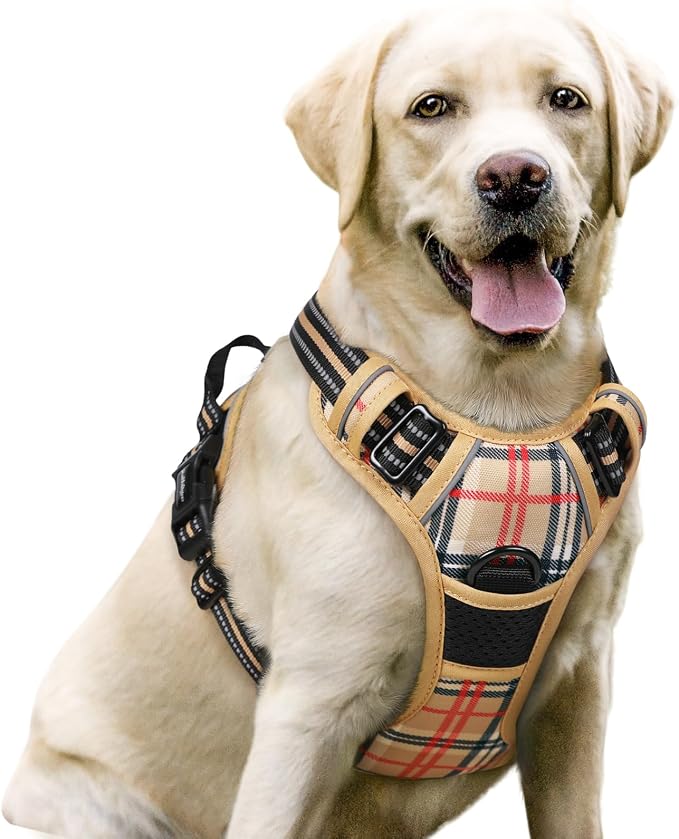 rabbitgoo Dog Harness, No Pull for Large Dogs with 2 Leash Clips, Pet Vest | No Choke with Handle, Adjustable Soft Padded, Reflective, Easy Control for Walking, Beige Plaid, Large by rabbitgoo