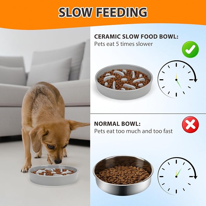 Ceramic Slow Feeder Dog Bowl, 2 Cups Maze Puzzle Dish to Slow Down Eating | Premium Ceramic Material with Anti-Slip Design, Suitable for Small, Medium and Large Breed Dogs Daily Feeding - Image 5