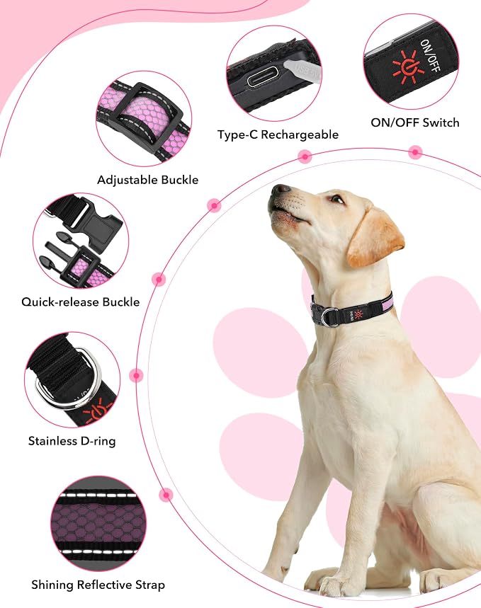 Weesiber Light Up Dog Collar - LED Dog Collar Rechargeable Glow in The Dark Pet Collar, Reflective Safety Dog Lights for Night Walking(Pink, L) - Image 2