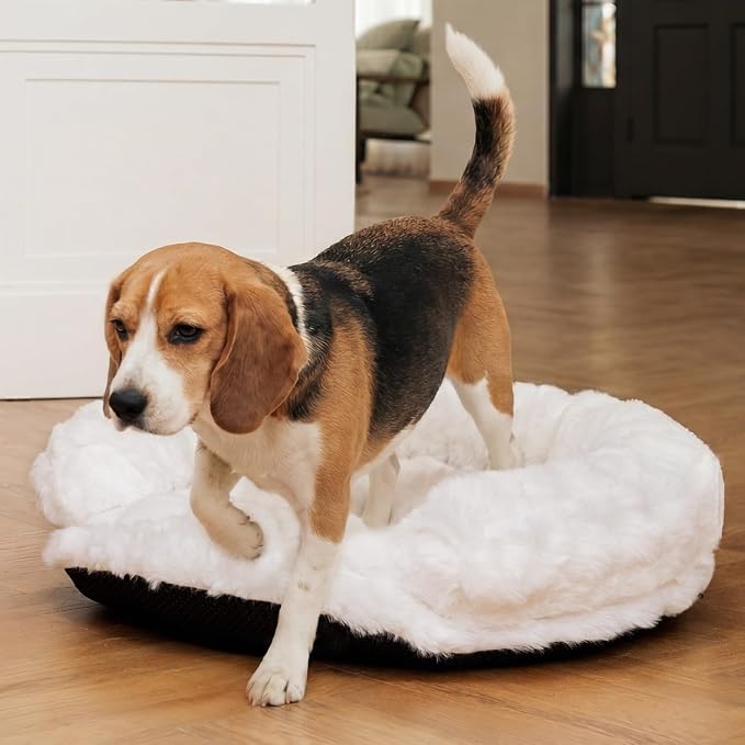Dog Bed Couch Sofa for Small Medium Dogs Cats 30x30x9 Round White | Round Plush, Orthopedic, Washable, Removable Cover, Anxiety Relief - Image 8