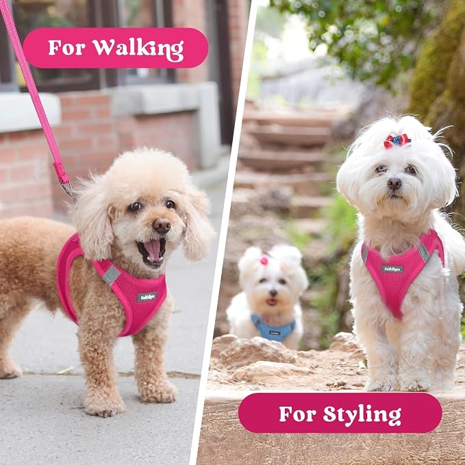 rabbitgoo Step-in Small Dog Harness, Puppy Vest for Small Medium Sized Pet | Easy Put on and off, Lightweight, Soft, Breathable Quick-Dry Air Mesh for Comfortable Secure Walking, Rose Red XL - Image 9