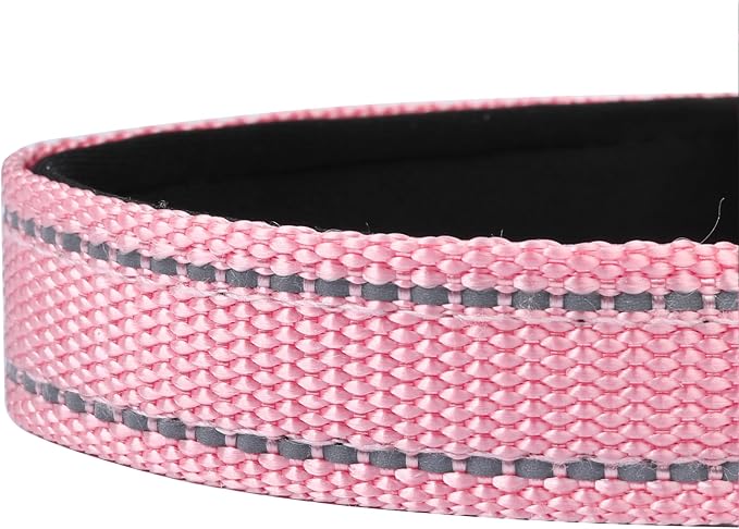 Reflective Dog Collar, Adjustable Soft Neoprene Padded,Light Pink,M | Breathable Nylon for Medium Dogs,Tear-Resistant Webbing,Chafe‑Free on Walks and Hikes,Metal D-Ring,Night Safety - Image 5