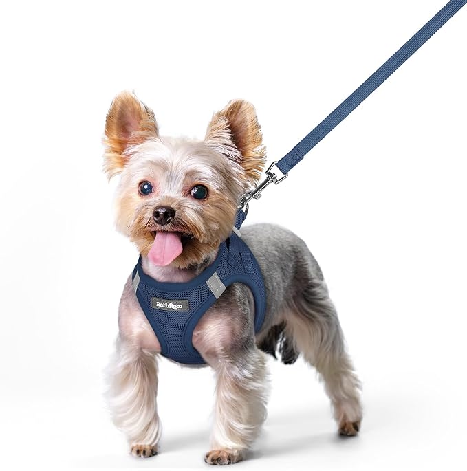 rabbitgoo Dog Harness Small Sized and Leash Set, Step-in Puppy Pet Vest | Light, Soft, Breathable Air Mesh, Easy on and Remove with Hook & Loop, Secure Reflective for Walking, Navy Blue XS by rabbitgoo