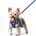 rabbitgoo Dog Harness Small Sized and Leash Set, Step-in Puppy Pet Vest | Light, Soft, Breathable Air Mesh, Easy on and Remove with Hook & Loop, Secure Reflective for Walking, Navy Blue XS by rabbitgoo