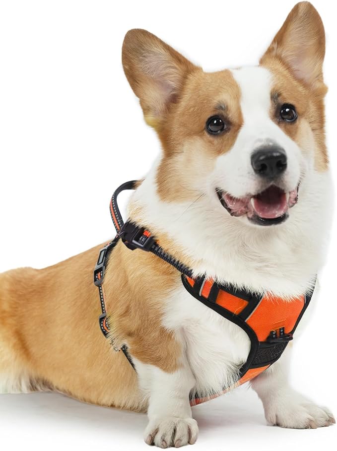 PUPTECK No Pull Dog Harness Medium Sized, Adjustable Reflective Dog Harness with Handle Easy Control, Comfortable Soft Padded Pet Vest Harness for Medium Dogs, Orange M - Image 7