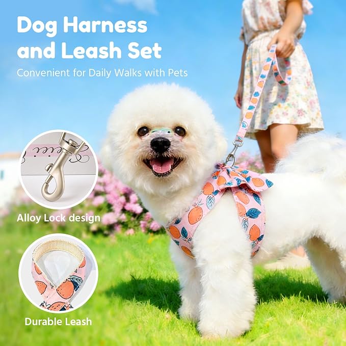 BAEJMJK Dog Harness and Leash Set with Bow Knot No Pull Pet Floral Harness with D-Ring Soft Mesh Dog Harness Vest Set Escape Proof Princess Puppy Harness for Small Girl Dogs Cats（Orange L） - Image 7
