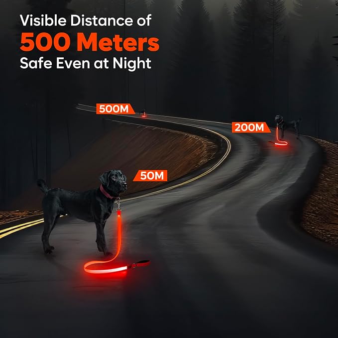 LED Dog Leash, 4 Ft Light Up Dog Leash USB Rechargeable Waterproof, Nylon Reflective Tether with Padded Handle, Safety Glow in The Dark Walking Lead for Large Medium Small Pets(Orange) - Image 6