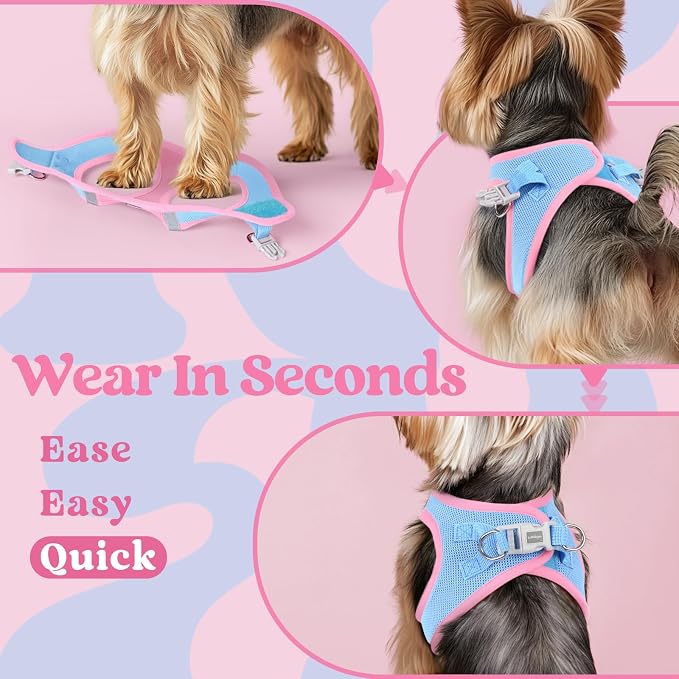 rabbitgoo Step-in Small Dog Harness, Puppy Vest for Medium Sized Pet | Easy Put on and off, Lightweight, Soft, Breathable Quick-Dry Air Mesh for Comfortable Secure Walking, Blue & Light Pink XXL - Image 6
