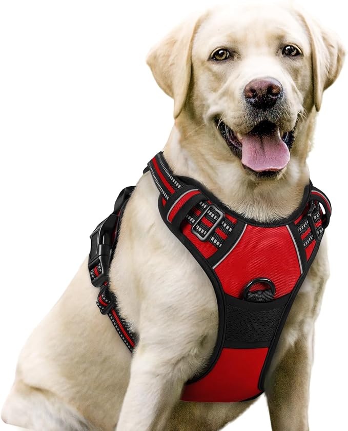 rabbitgoo Dog Harness, No Pull for Large Dogs with 2 Leash Clips, Pet Vest | No Choke with Handle, Adjustable Soft Padded, Reflective, Easy Control for Walking, Red, Large by rabbitgoo