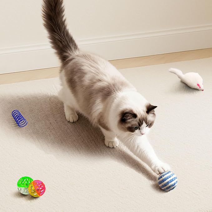 Cat Toys for Indoor Cats, 34 Pack Interactive Cat Toy Set for Kitten | Kitten Toys Variety Pack with Chew Toy, Spring, Mouse & Ball, Ideal for Enrichment, Boredom Relief and Self Play, Toy Bulk - Image 4