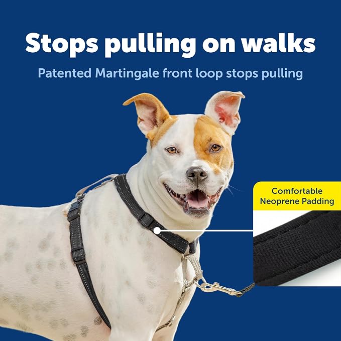 PetSafe 3 in 1 No-Pull Dog Harness - Walk, Train or Travel - Helps Prevent Pets from Pulling on Walks - Seatbelt Loop Doubles as Quick Access Handle - Reflective Accents - Medium, Black | Rests on Chest Not Throat to Reduce Pulling, 5 Adjustment Points... - Image 3