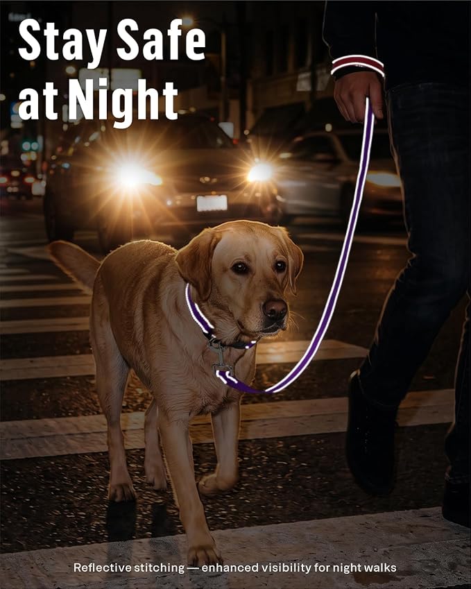 FunTags Reflective Nylon Dog Leash for Medium & Large Dogs, 6FT for Walks | Comfortable Padded Grip, Stay Safe at Night, 360° Anti-Tangle Swivel, for Dog Parks & Trails, Purple - Image 3