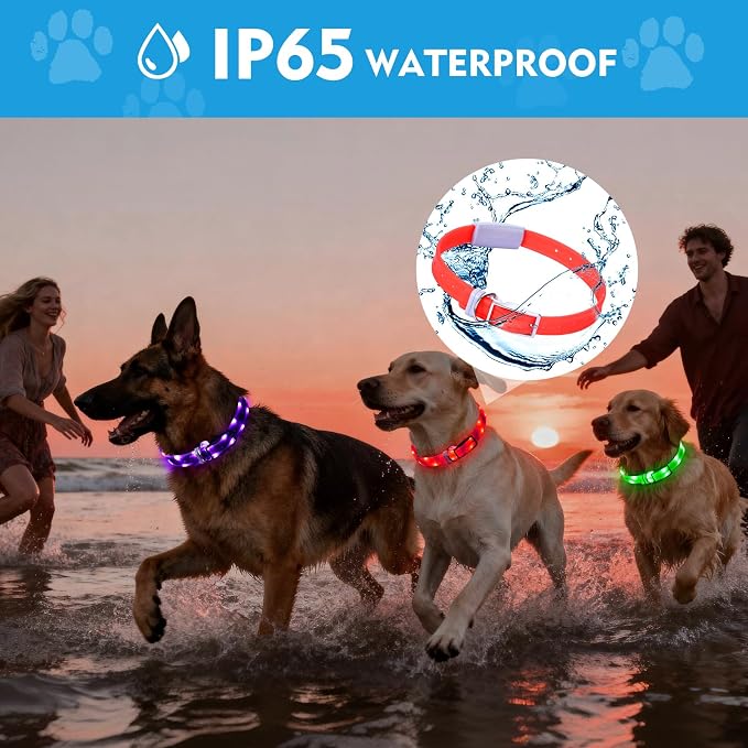 Lighted Dog Collar, Rechargeable Light Up Pet Collar, Waterproof LED Dog Collar Glow in the Dark, Make Pet Visible and Safety for Night Walking for Small Medium Large Dogs (Purple) - Image 3