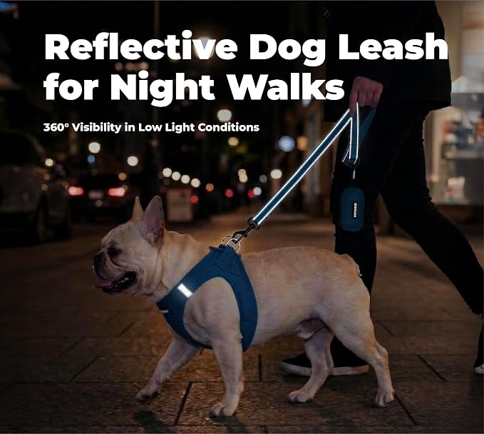 Best Pet Supplies Voyager Nylon Dog Leash - Royal Blue, Medium | 5ft in Length, 3/4" in Width, Reflective, Soft Neoprene Handle, Heavy Duty Metal Clips for Running, Walking & Training - Image 4
