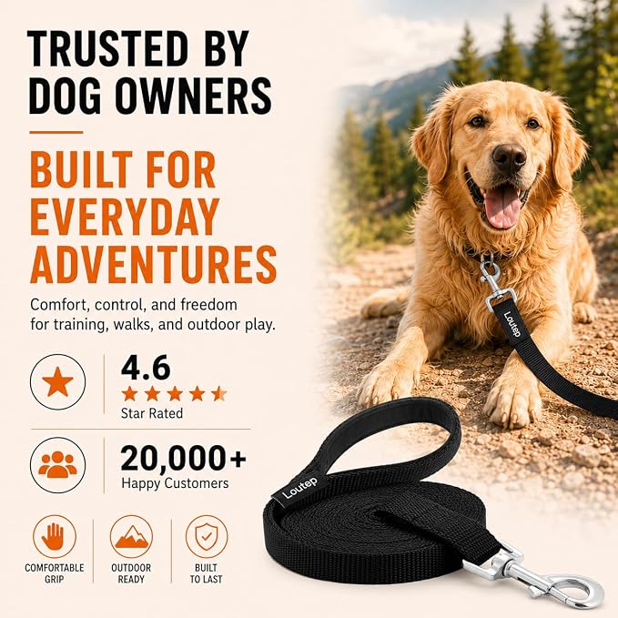 Long Line Dog Training Leash with Padded Handle, 20 ft, Black | Durable nylon webbing with reinforced stitching and 360° swivel clip for recall and obedience - Image 9