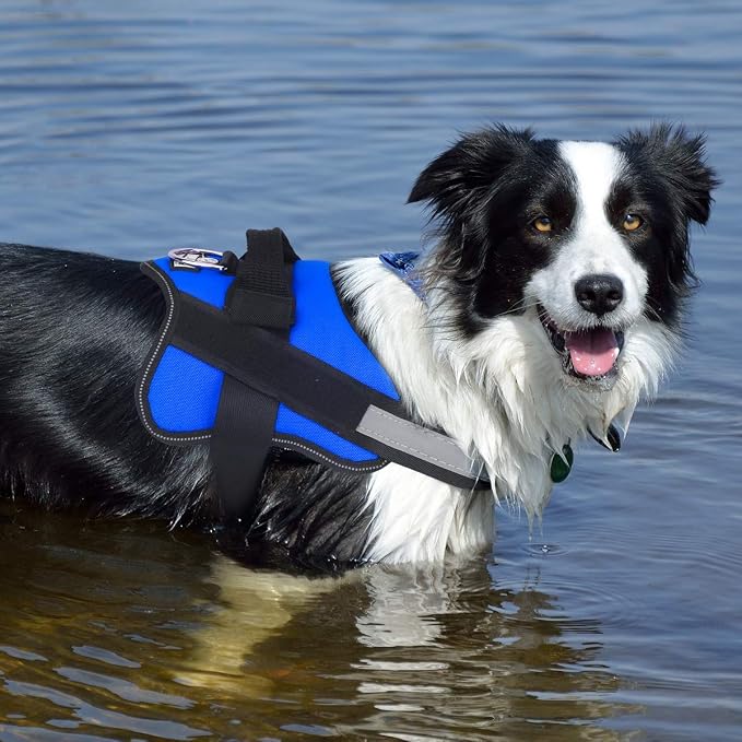 Dog Harness, No-Pull Reflective Dog Vest, Breathable Adjustable Pet Harness with Handle for Outdoor Walking - No More Pulling, Tugging or Choking (Blue, XL) - Image 6