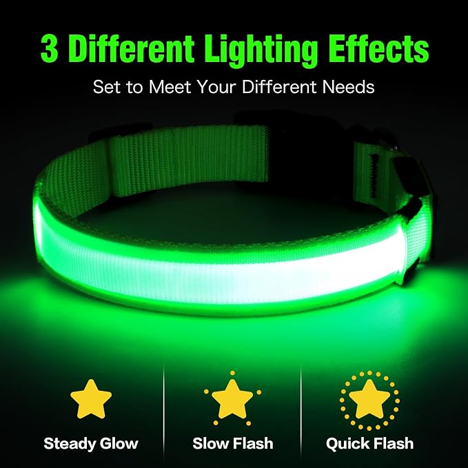 Illumifun LED Dog Collar, USB Rechargeable Light Up Dog Collar Glow in the Dark (Green, Medium) - Image 2