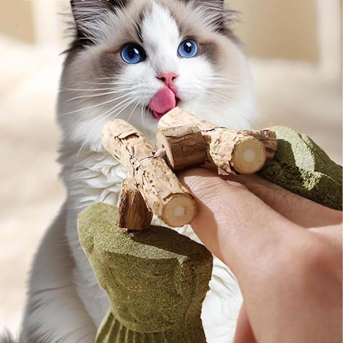 2026 New Creative Fish Bone Cat Dental Chew Toy, Natural Fishbone Catnip & Silvervine Chew Toy, Interactive Kitten Chew Playthings for Cats Teeth Cleaning (Mixed Flavors, 3Pcs) - Image 2