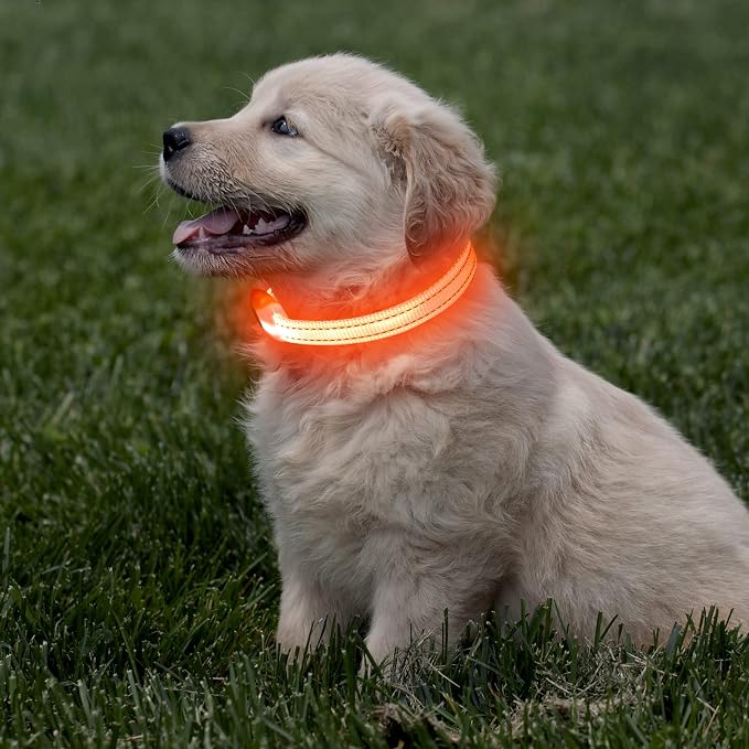 Light Up Dog Collar - Rechargeable LED Dog Collar, Adjustable Reflective Puppy Collar, Glowing Safety Dog Lights for Small Breeds Dogs Cats (Orange) - Image 7