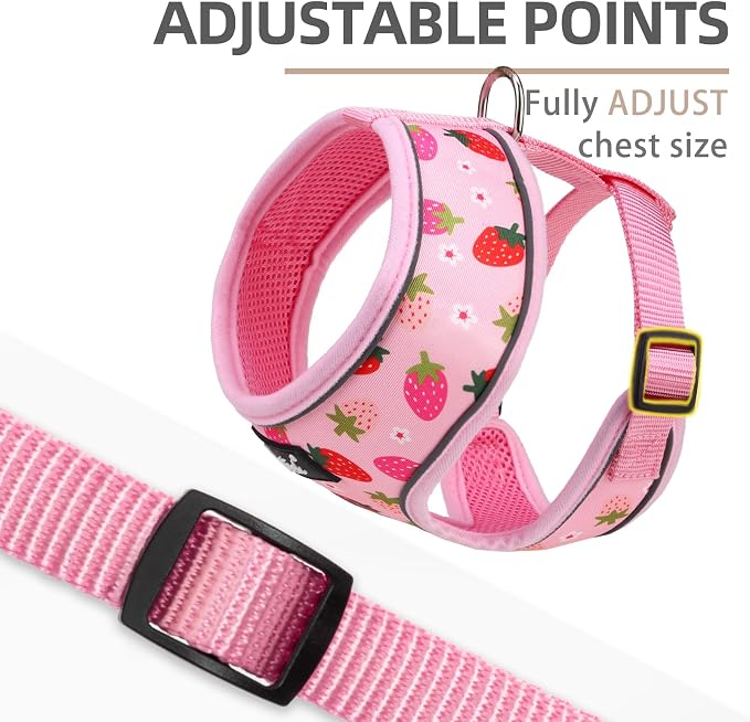 PUPTECK Small Dog Harness and Leash Set No Pull for XS XXS Sized Dogs Puppy | Escape Proof No Choke Pet Cat Adjustable Soft Padded Walking Vest - Image 3