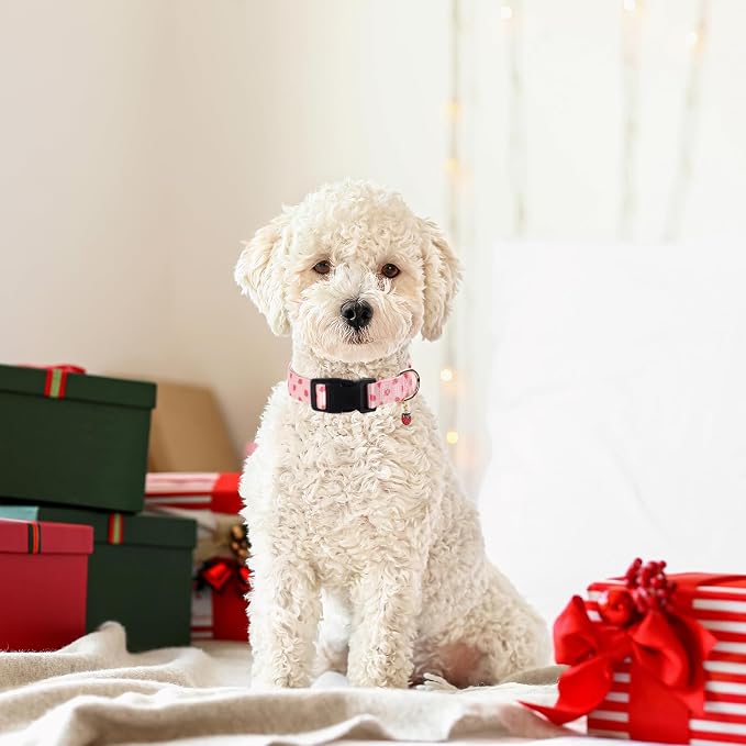 Pink Strawberry with Pendant Cute Dog Collar for Small Medium Large Dogs,XL | Ligth Adjustable Nylon Puppy Collar for Boy and Girl Female, Distinctive Patterns, Comfortable for Walks and Outdoor Hikes - Image 4