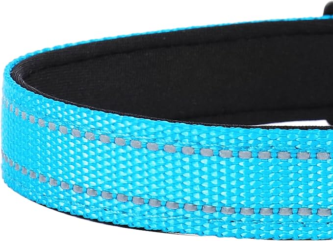 Reflective Dog Collar, Adjustable Soft Neoprene Padded,Sky Blue,L | Breathable Nylon for Large Dogs,Tear-Resistant Webbing,Chafe‑Free on Walks and Hikes,Metal D-Ring,Night Safety - Image 5