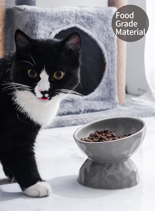 5 Inch Grey Tilted Ceramic Raised Cat Bowls Set of 2 | Elevated,Food and Water Pet Bowl, Porcelain,Slanted, for Cats and Small Dogs,Protect Cat's Spine,Dishwasher Safe,Durable - Image 3