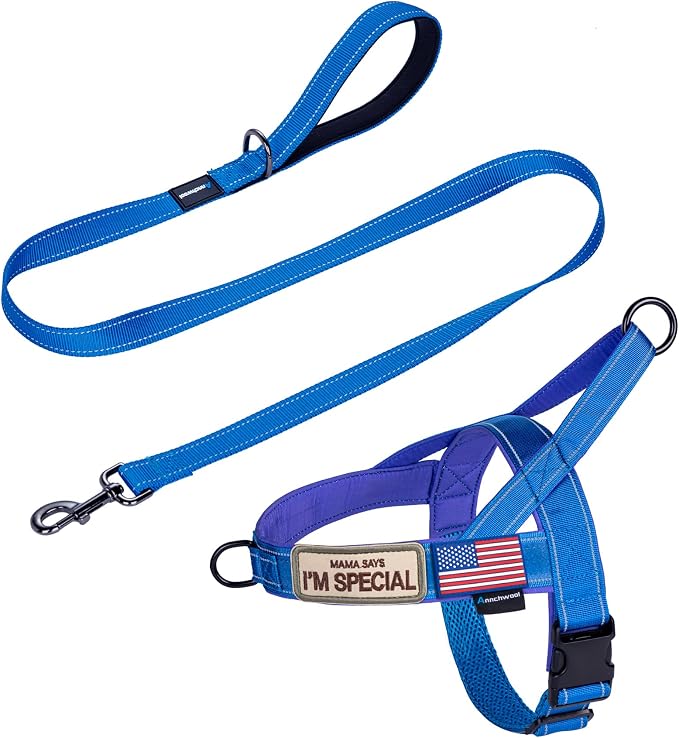 Annchwool No Pull Dog Harness with Padded Handle+5 Ft Leash,Reflective Strip Escape Proof and Quick Fit to Adjust Dog Harness,Easy for Training Walking for Small & Medium and Large Dogs(Blue-Set,XL) by Annchwool