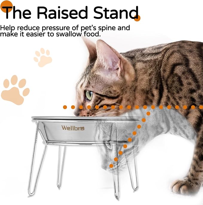 Elevated Cat Bowls, Wide Stainless Steel Cat Food Bowls with Metal Stand Whisker Stress-Free, Raised Food and Water Dish for Cats, Kitten, Puppies and Small Dogs - Image 3