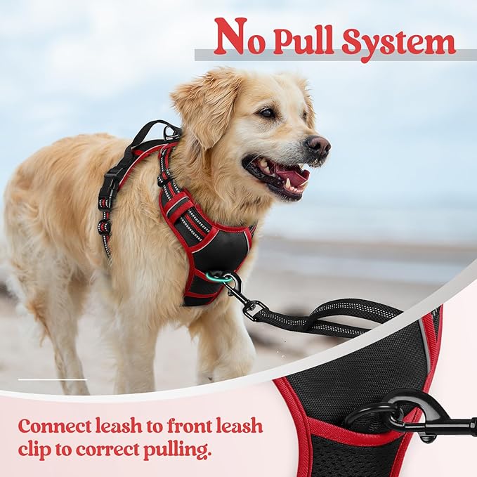 rabbitgoo Dog Harness, No Pull Medium Sized with 2 Leash Clips, Pet Vest | No Choke with Handle, Adjustable Soft Padded, Reflective, Easy Control for Walking, Black & Red, Medium - Image 5